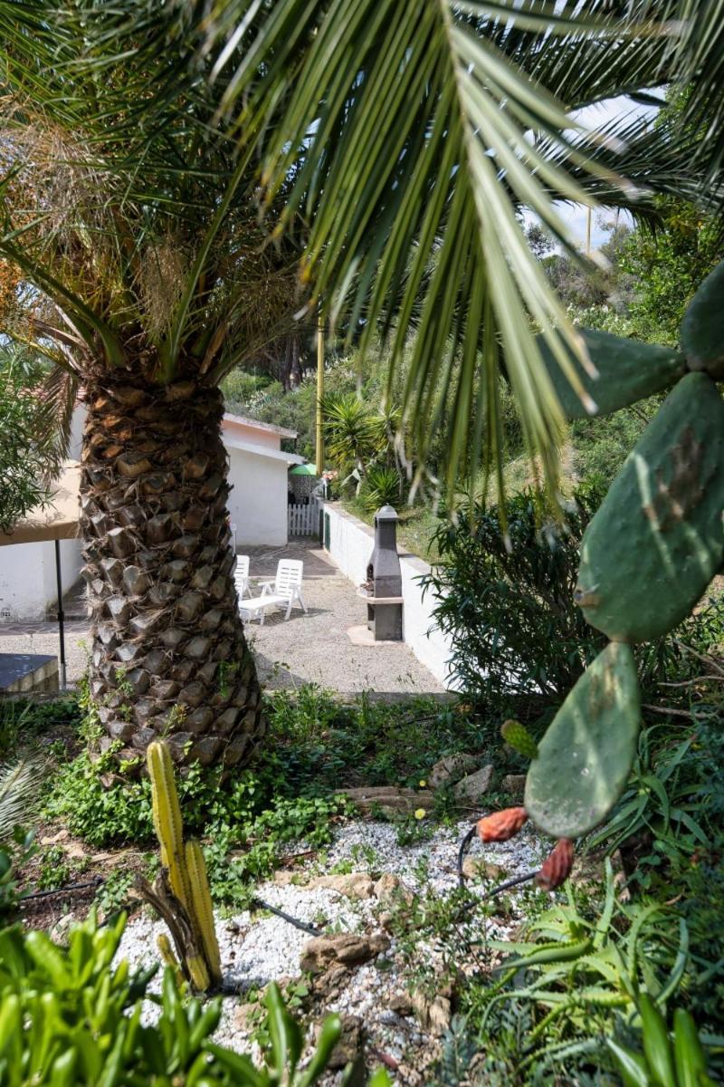 Alloggi Del Mirto A Morcone - Goelba Capoliveri  Bagian luar foto