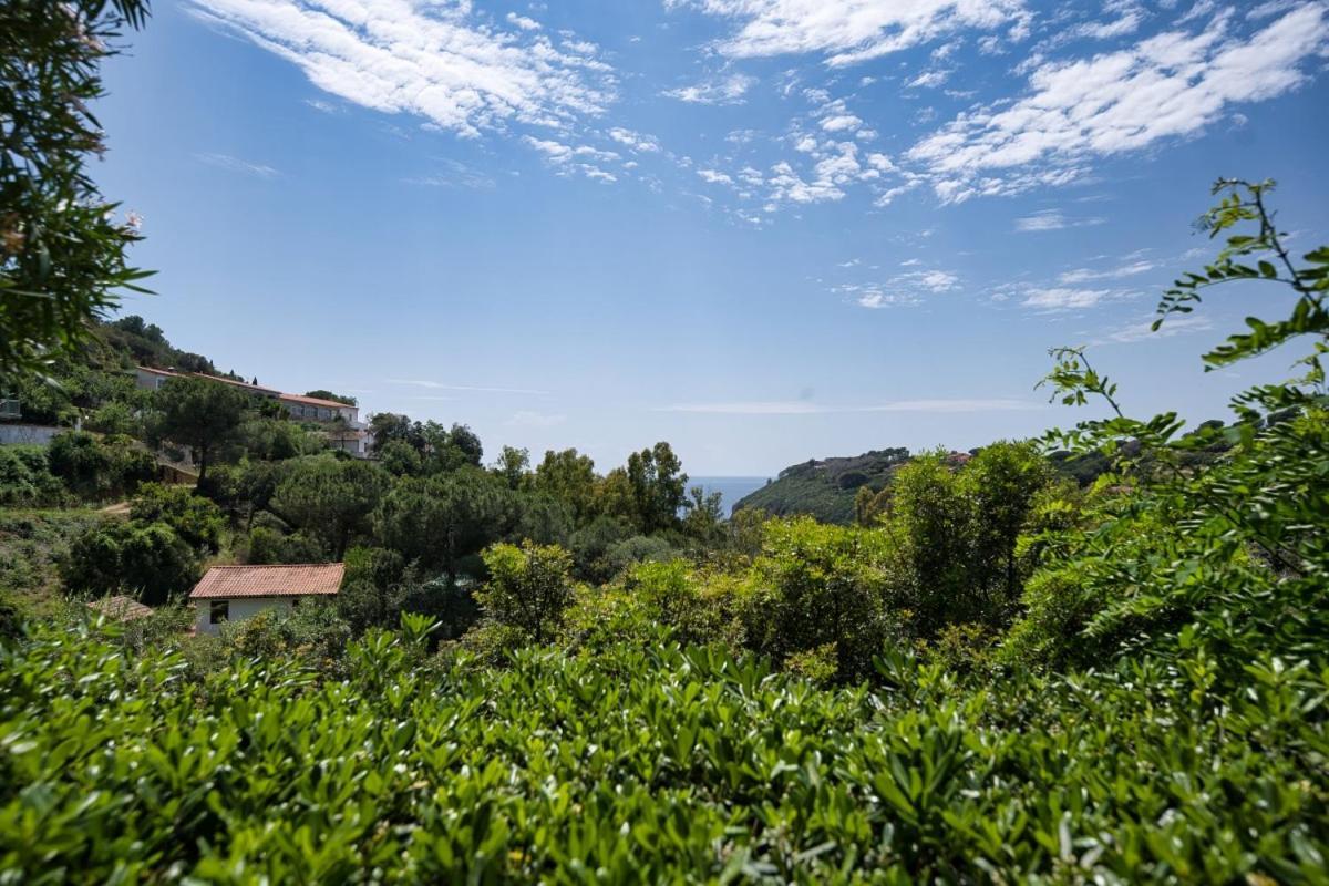 Alloggi Del Mirto A Morcone - Goelba Capoliveri  Bagian luar foto