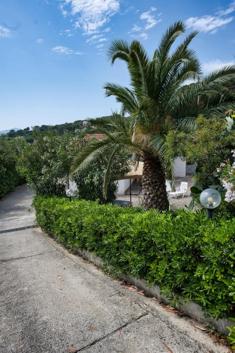 Alloggi Del Mirto A Morcone - Goelba Capoliveri  Bagian luar foto